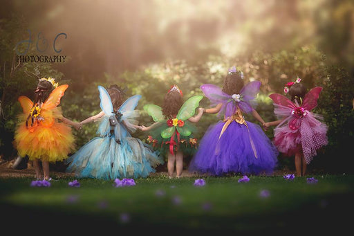 Fairy Time Collection